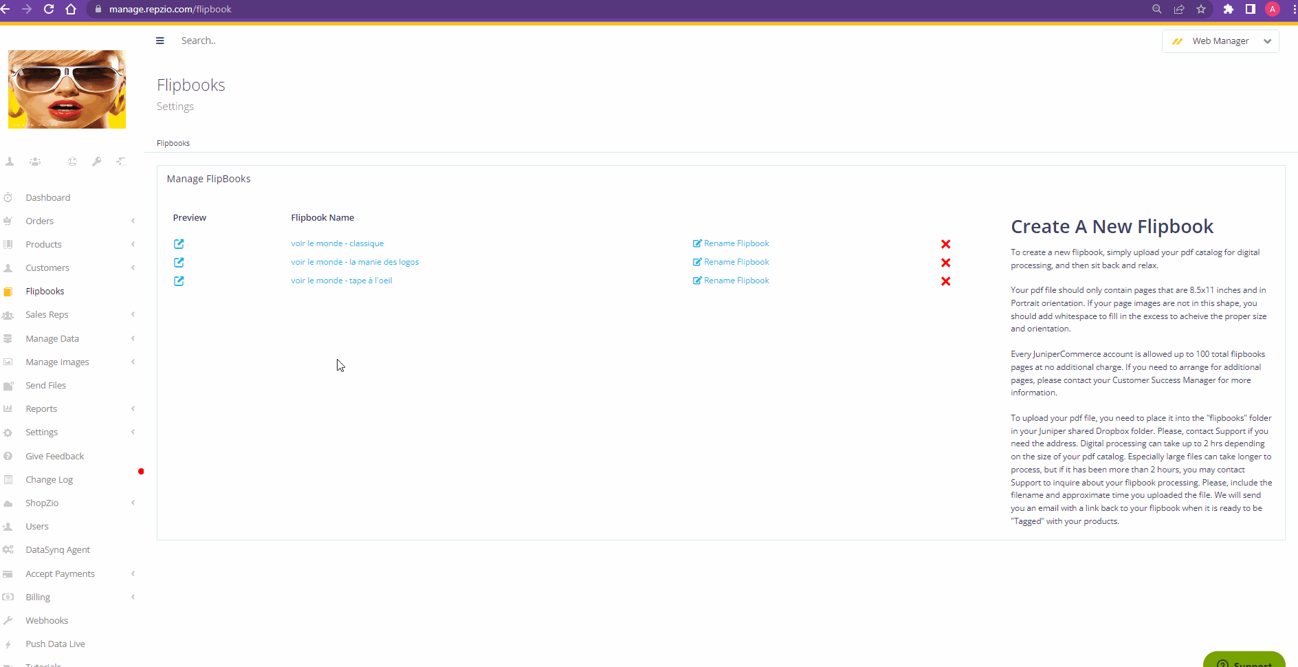 WebManager_RearrangePages.gif