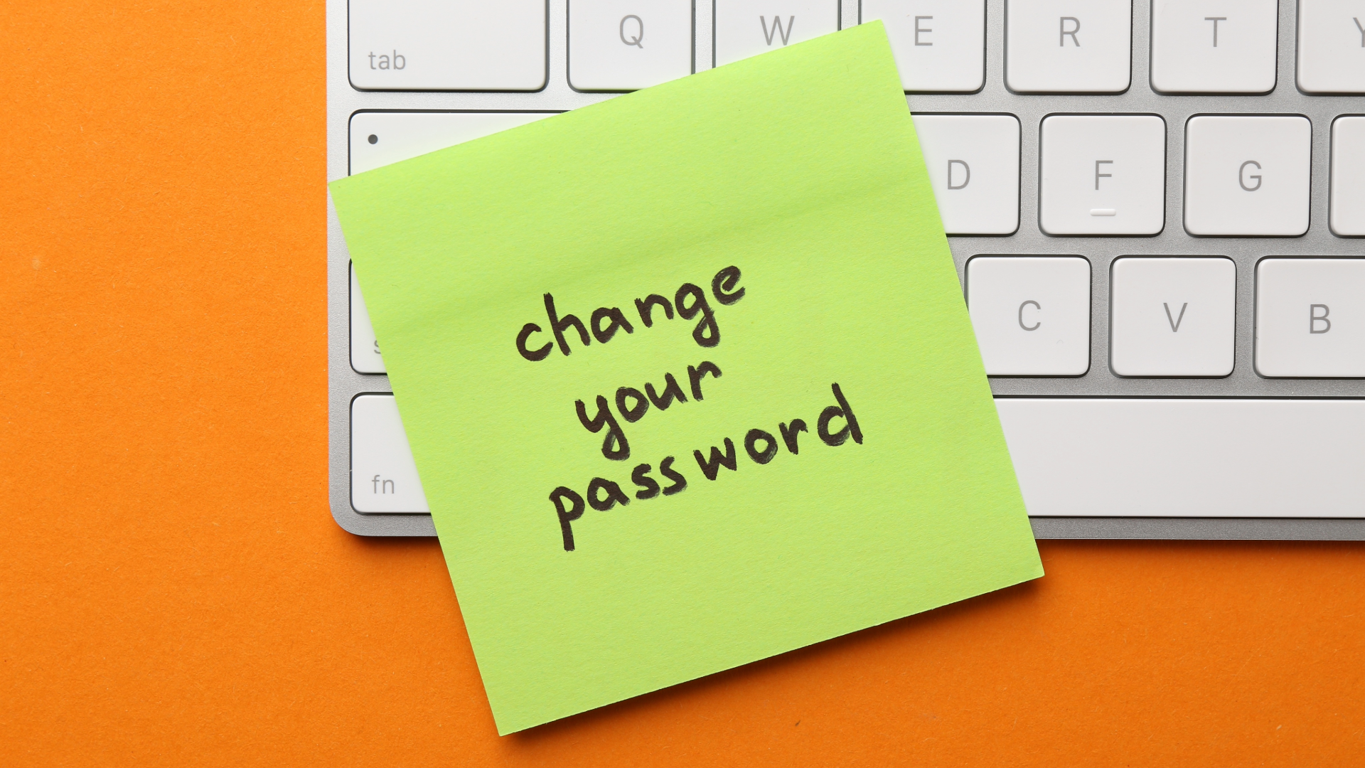 ANDMORE Resource Center Images-12.png